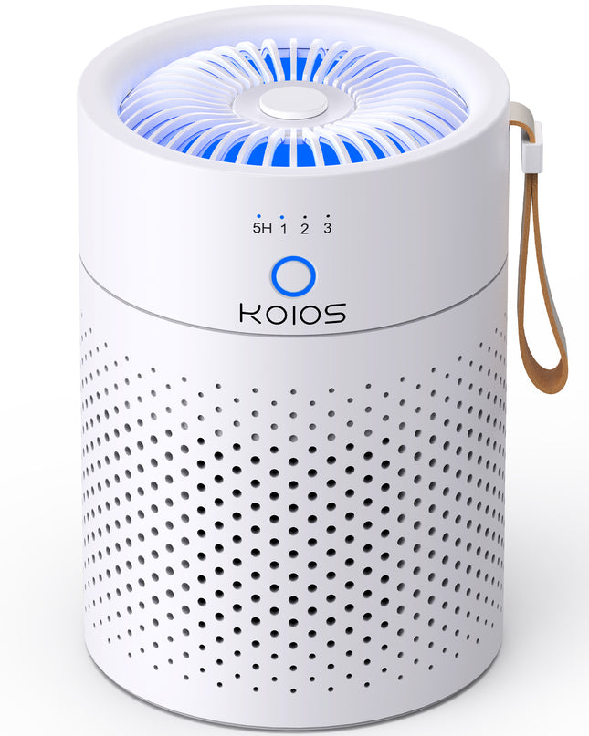 Air Purifiers For Home Bedroom H13 True HEPA Air Filter, Quiet Air Cleaner,Portable Small Air Purifier For Office, Living Room,Amazon Banned Sales Platform