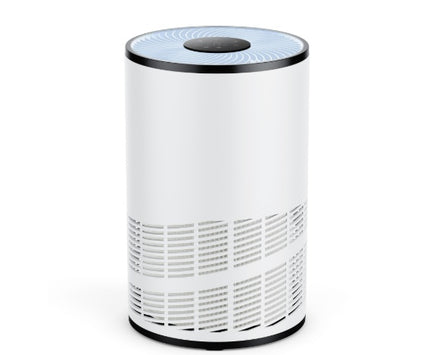 Home Air Purifiers