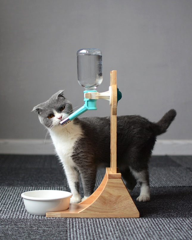 Cat Drinking Water Dispenser Drinking Fountains Cat Drinking Water Dog Drinking Water Pet Supplies Cat Kettle