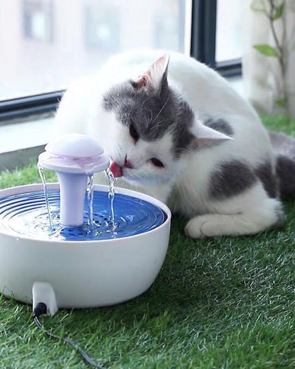 Circulating water fountains