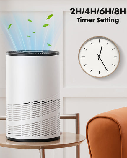 Home Air Purifiers
